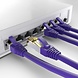 Cat6a S/FTP PIMF LSZH Violet 0.25 mètres Cat6a S/FTP PIMF LSZH Violet 0.25 mètres