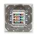 Boîte combi encastrée + en saillie CAT6a 2x RJ45 RAL9010 Boîte combi encastrée + en saillie CAT6a 2x RJ45 RAL9010