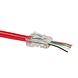 Bintra Doorsteek CAT6 Connector EZ-RJ45 - UTP 100 stuks voor soepele en stugge kabel Bintra Doorsteek CAT6 Connector EZ-RJ45 - UTP 100 stuks voor soepele en stugge kabel