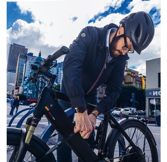 Abus Pedelec 1.1 Fietshelm - Titan