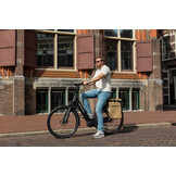 Voltano Luxe E-bike Fietstas 28L - Beige - Pakaftas Met Laptop vak - 100% Waterdicht