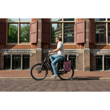 Voltano Luxe E-bike Fietstas 28L - Bordeaux Rood - Pakaftas Met Laptop Vak - 100% Waterdicht