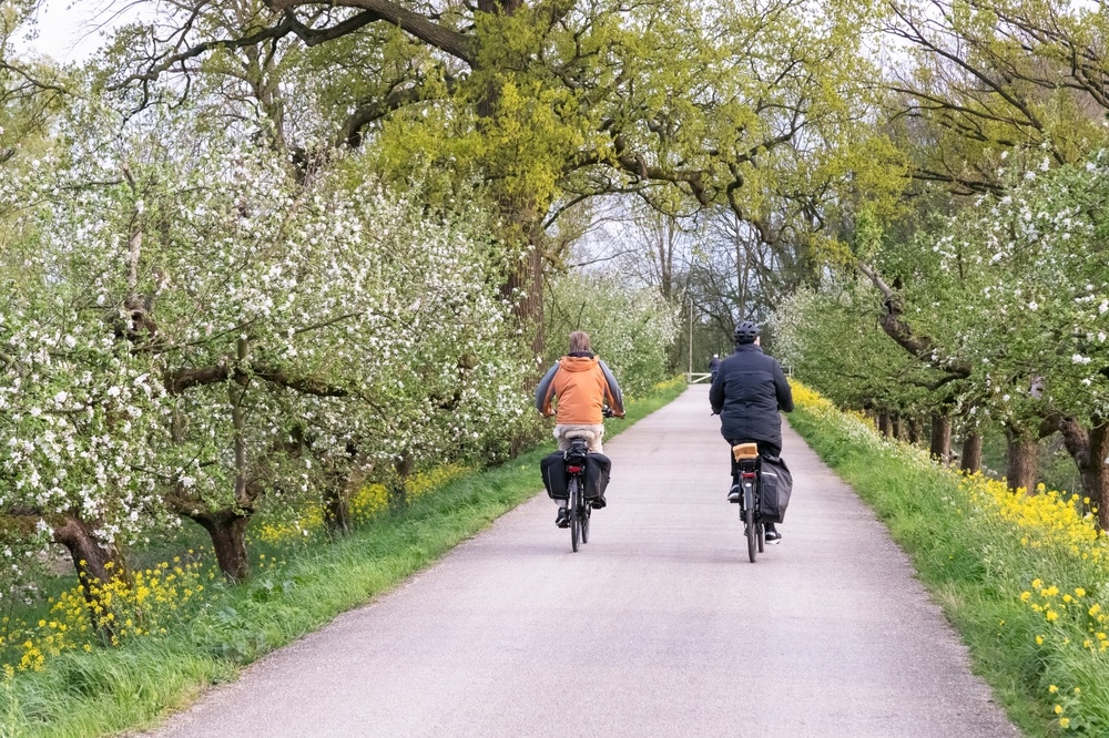 Voorbereid de zomer in met Fietsgoedkoper