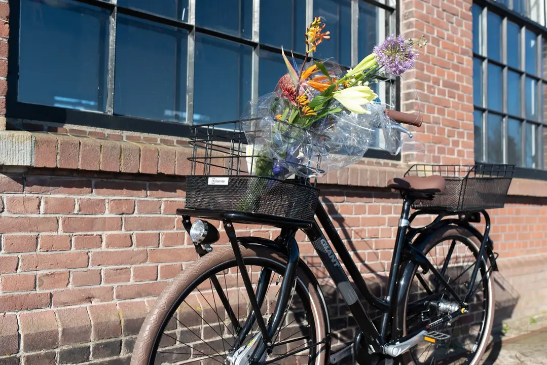 Fastrider Olav - Voordrager Mand - Zwart