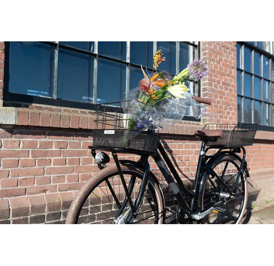 Fastrider Olav - Voordrager Mand - Zwart