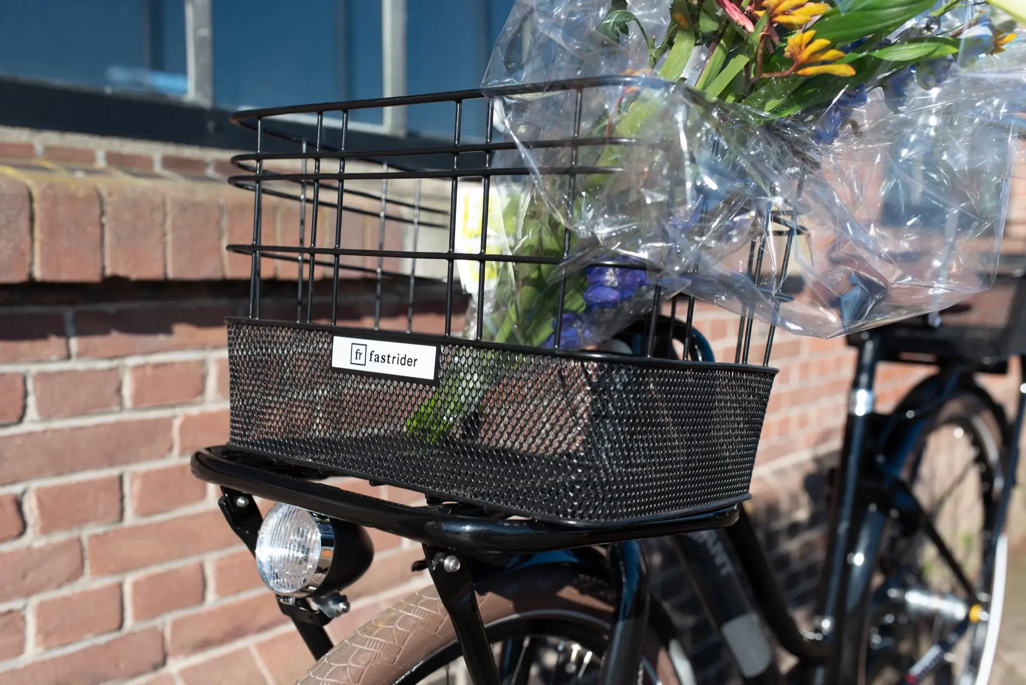 Fastrider Olav - Voordrager Mand - Zwart