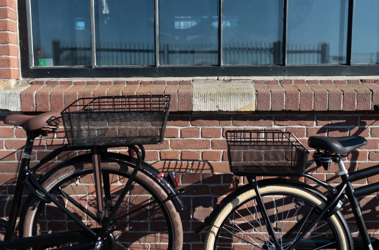 Fastrider Olav - Achterdrager Mand - Zwart