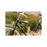 Steco Voetsteunen - Voor Framebuis - Zwart/Zilver