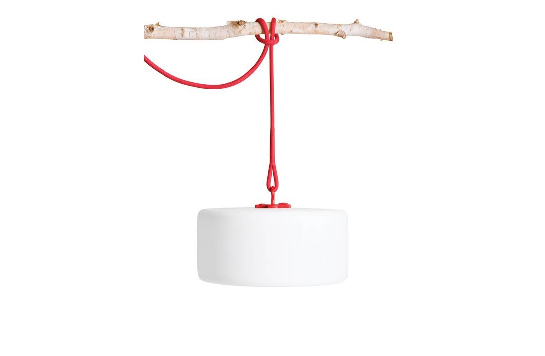 Thierry Le Swinger rood