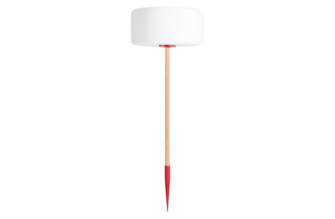 Thierry Le Swinger rood