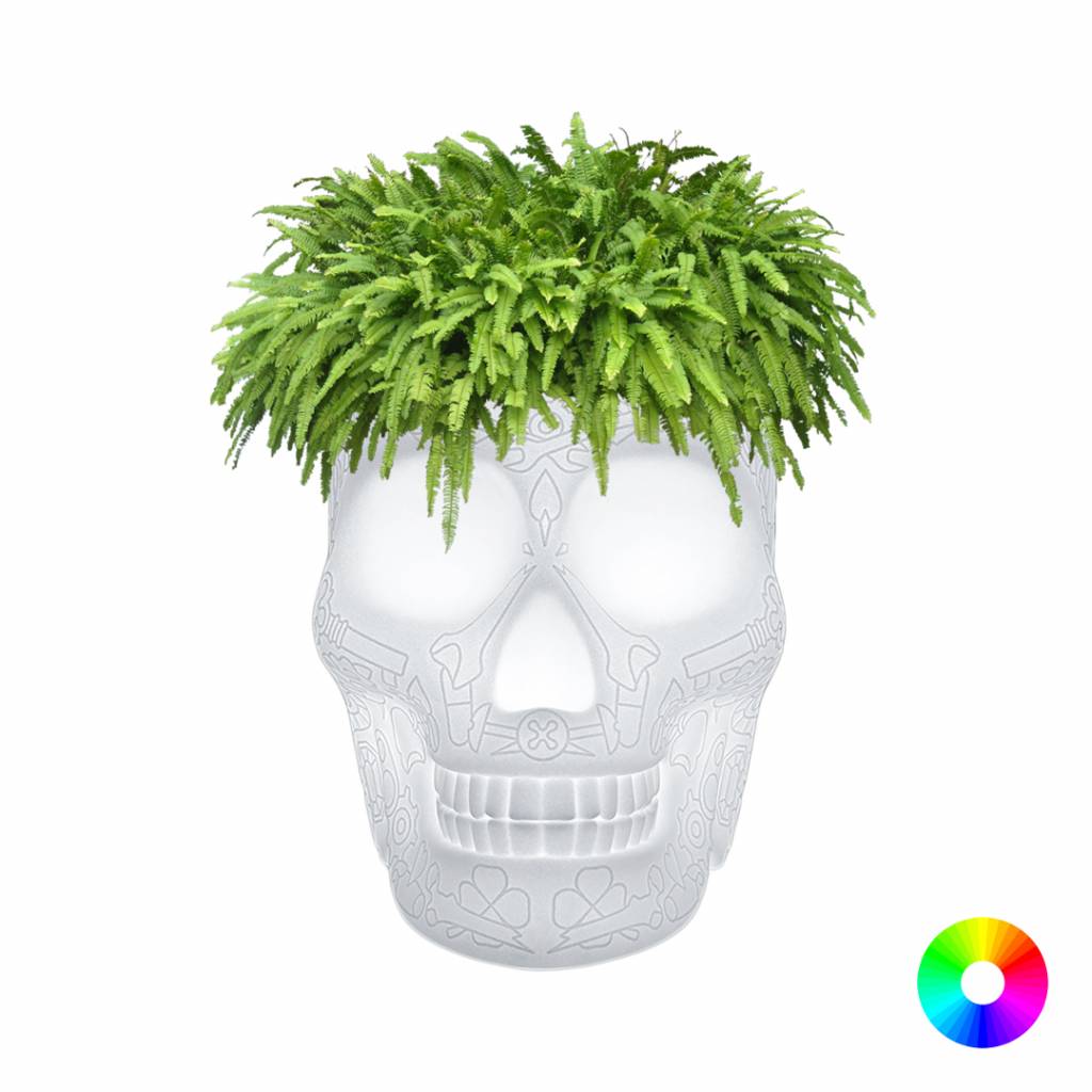 Pot Mexico Outdoor LED