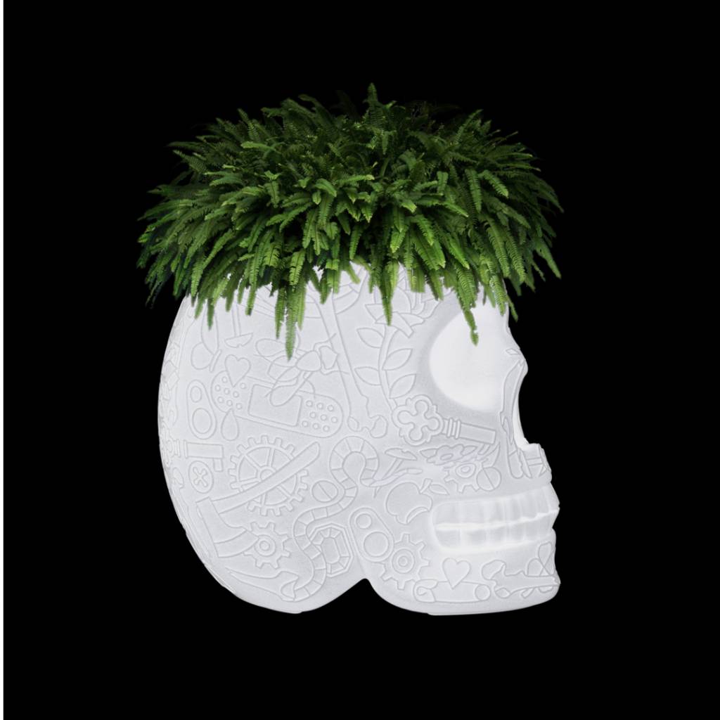Pot Mexico Outdoor LED