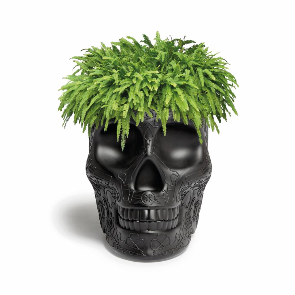 Pot Mexico Noir