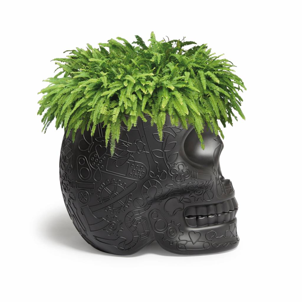 Pot Mexico Noir
