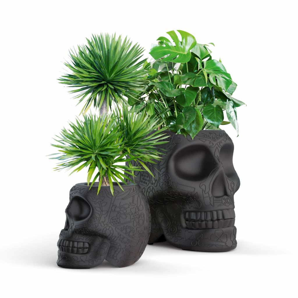 Pot Mexico Noir