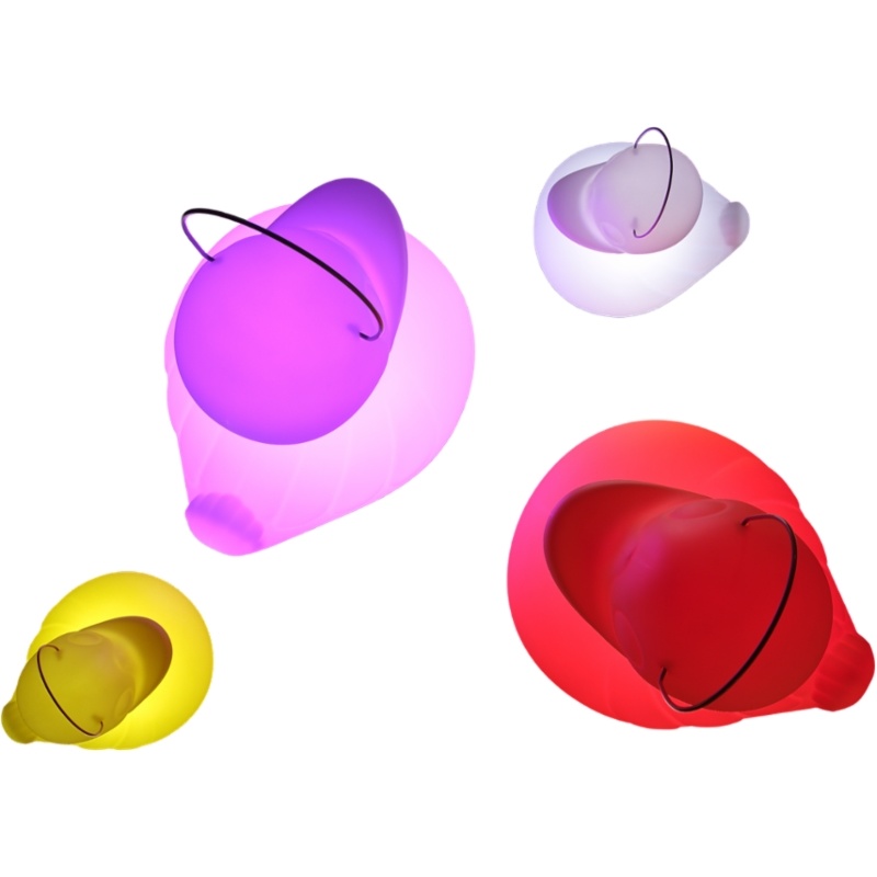 Duck Duck Lamp S wit