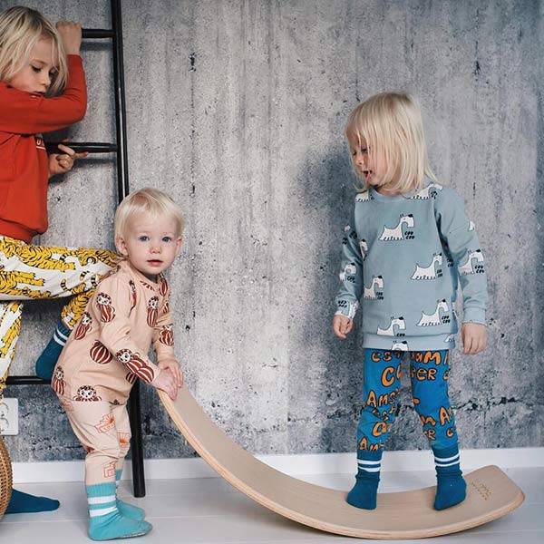 Pro Blank gelakt (incl. vilt Wilde Rozen)