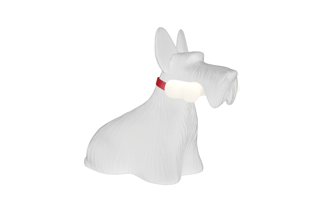 Scottie blanc