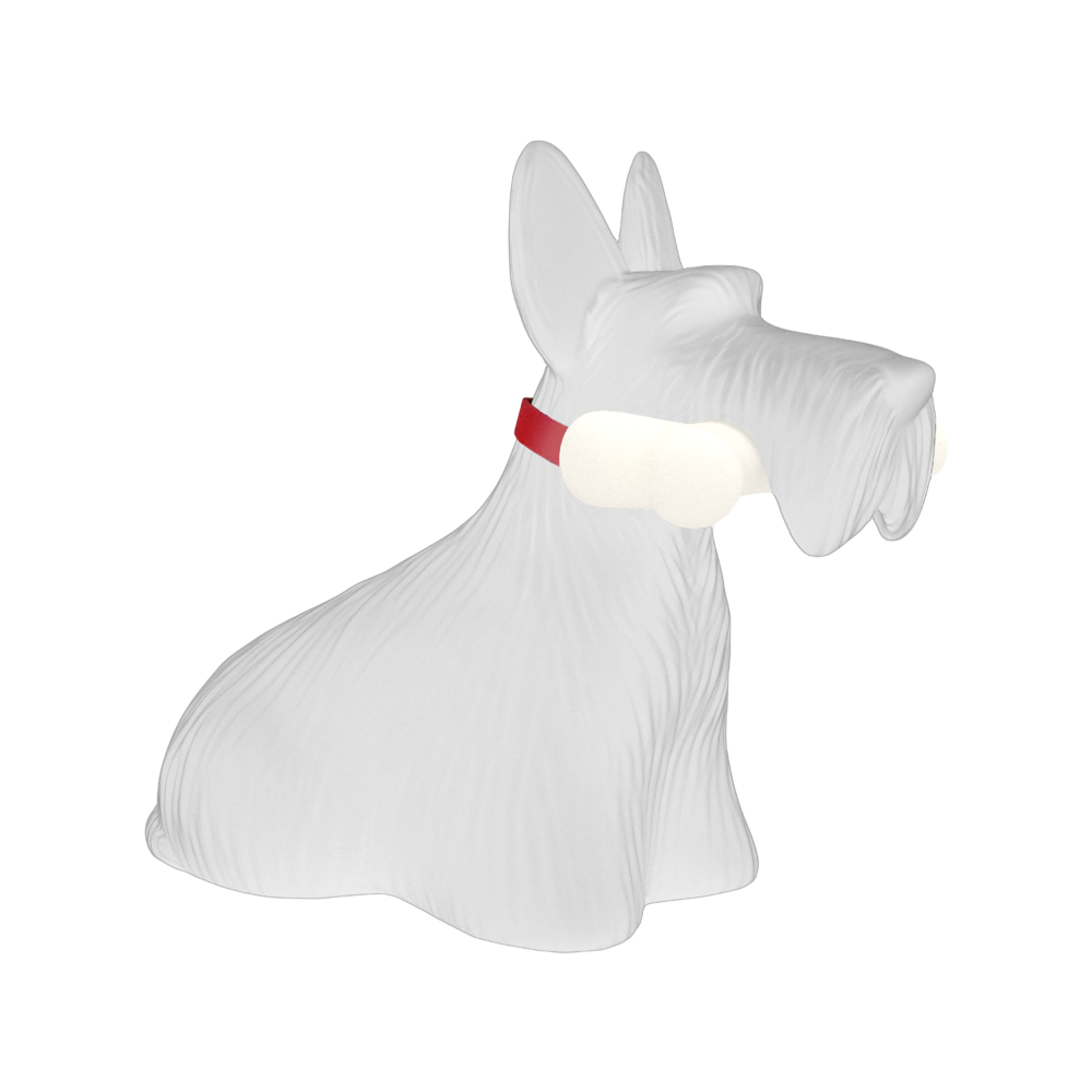 Scottie blanc