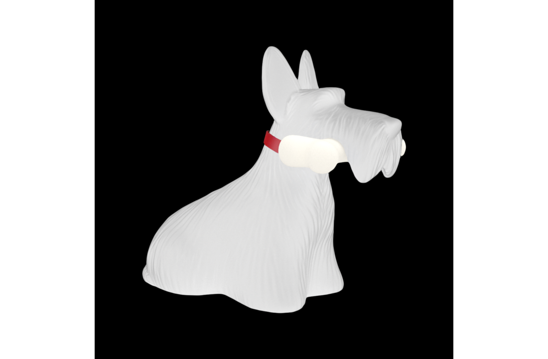 Scottie blanc