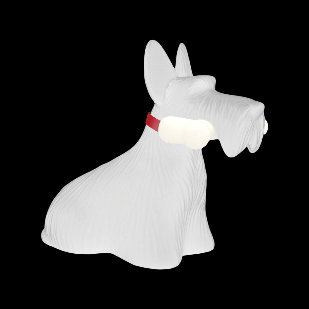 Scottie blanc