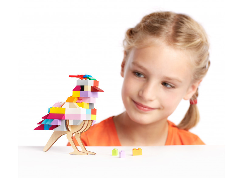 Oiseau