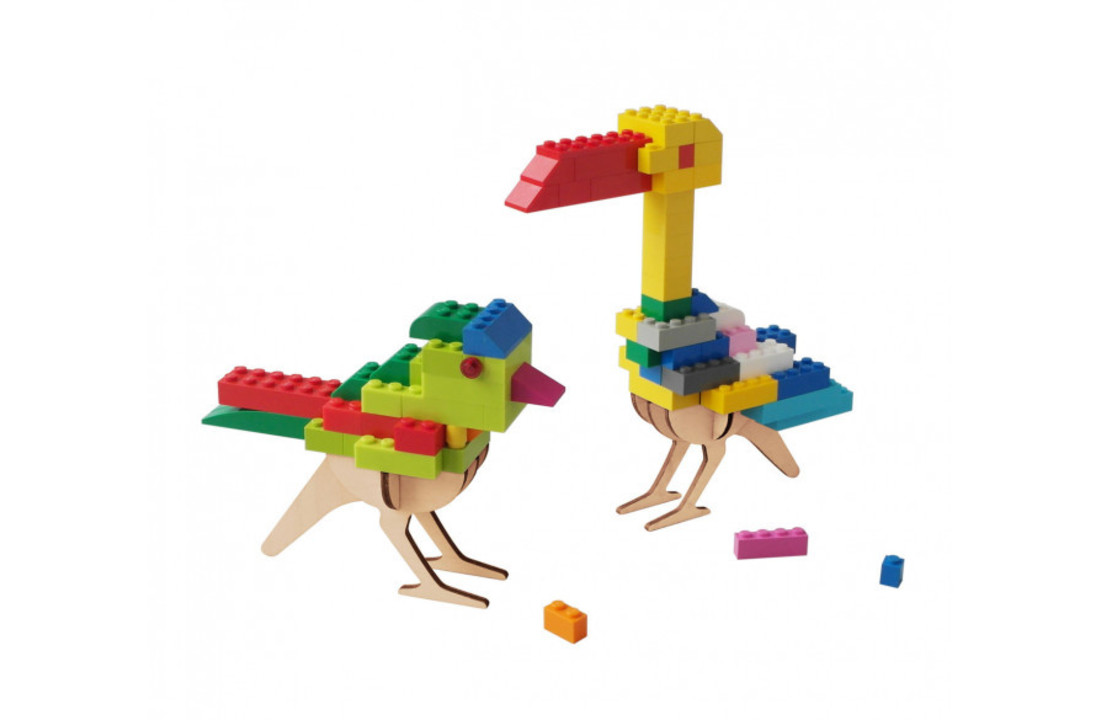 Oiseau