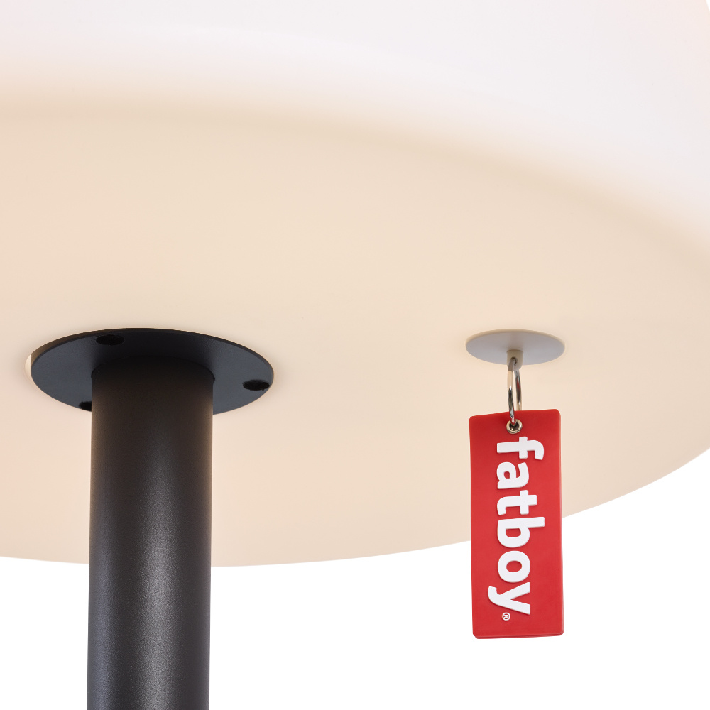 Edison the Giant Lamp - antracite