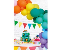 Ballondeco DIY Kit | Multicolor