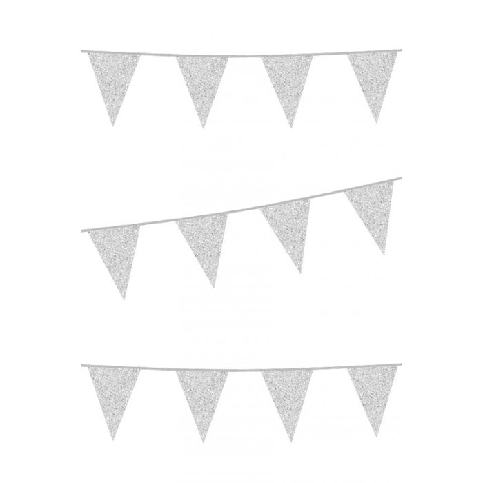 Vlaggenlijn Glitter / Zilver | 6m