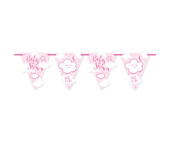Vlaggenlijn Babyshower | Roze | 6meter