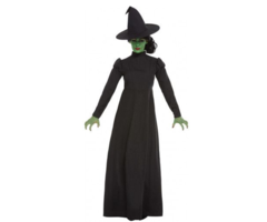 Heksenkostuum Dames | Wicked Witch
