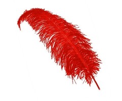 Spadonis Veer 30cm | Rood