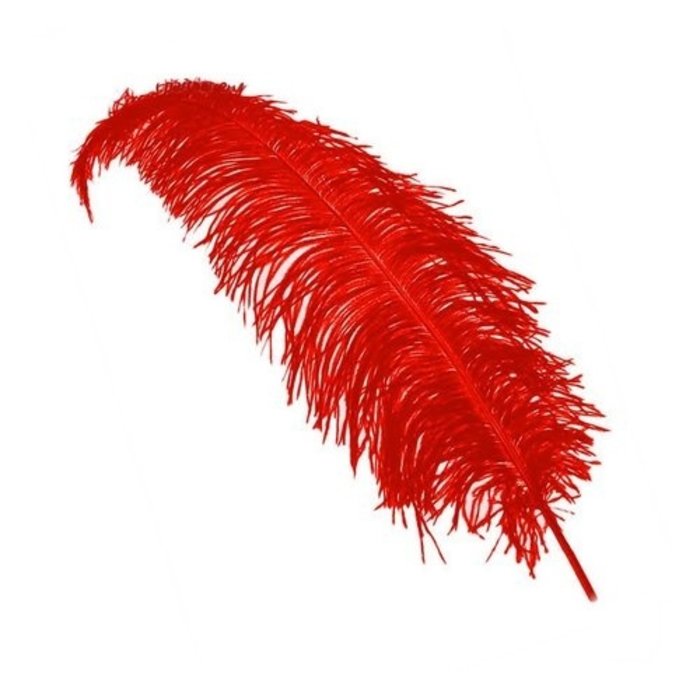 Spadonis Veer 30cm | Rood
