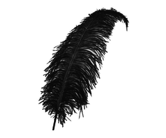 Spadonis Veer 30cm | Zwart