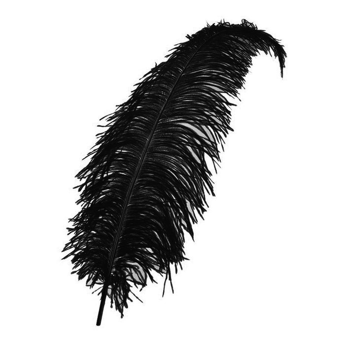 Spadonis Veer 30cm | Zwart