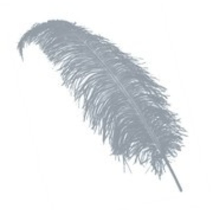 Spadonis Veer 30cm | Wit