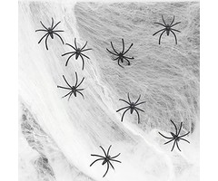 Spinnenweb Met 4 Spinnen | 60 Gram