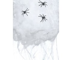 Spinnenweb Met 4 Spinnen | 100 Gram