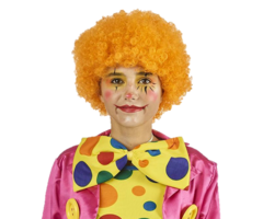 Pruik Krullen Oranje | Clown