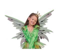 Elfenvleugels | Vlinder Groen