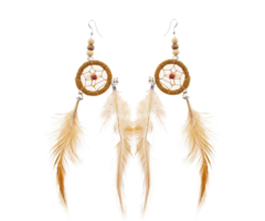 Indiaan Oorbellen | Pluimpjes