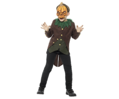 Goosebumps Pompoen Kinderkostuum | + Pompoenmasker