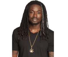 Ketting Goud Met Wietblad