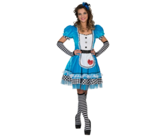 Alice In Wonderland  | Kostuum