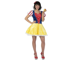 Sneeuwwitje Prinses | Dameskostuum