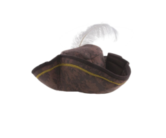 Piratenhoed Met Pluim | Deluxe