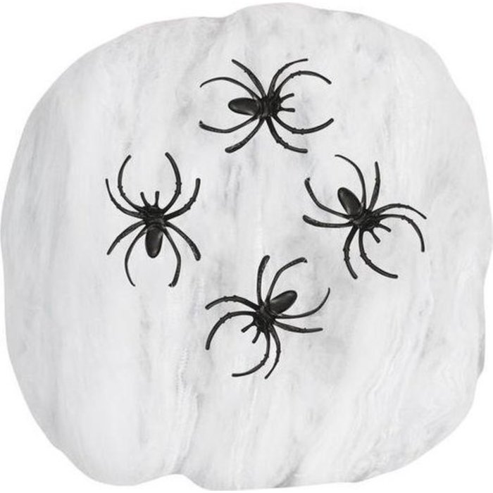 Spinnenweb Met 2 Spinnen | 50 Gram