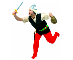 Asterix Kostuum | Stripfiguur