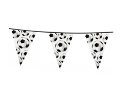 Vlaggenlijn Voetballen | 6meter